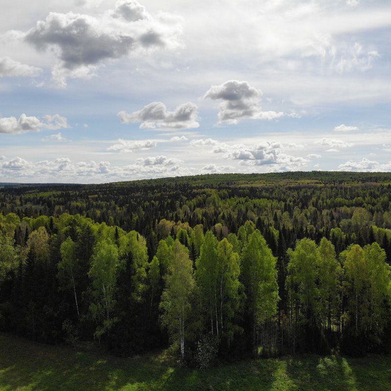 Le Paysagisme Durable : Sublimer Vos Espaces Extérieurs Tout en Respectant la Nature