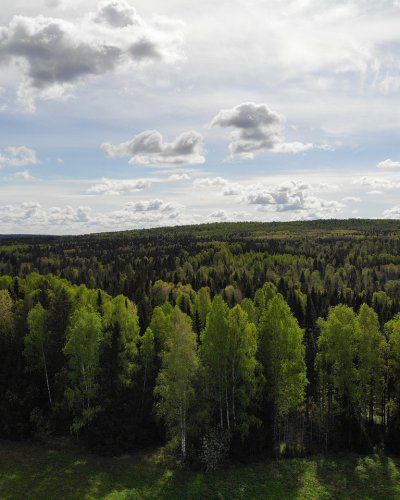 Le Paysagisme Durable : Sublimer Vos Espaces Extérieurs Tout en Respectant la Nature